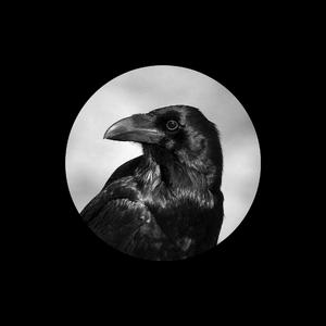 女生裸体××免费视频
