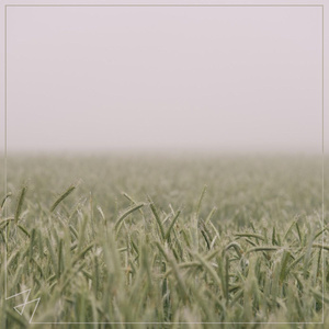 女生裸体××免费视频
